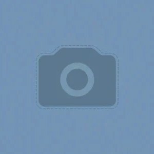 Владимир Батыжев