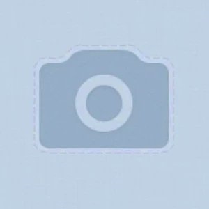 Александра Косульникова