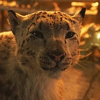 Стелмария озвучивал фильм Тёмные начала