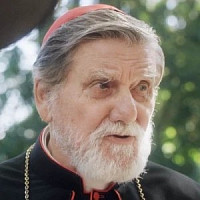 Озолиньш озвучивал фильм Молодой Папа