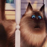 Реджинальд озвучивал фильм Тайная жизнь домашних животных