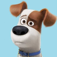 Макс озвучивал фильм Тайная жизнь домашних животных 2