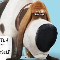 Старчи озвучивал фильм Тайная жизнь домашних животных 2