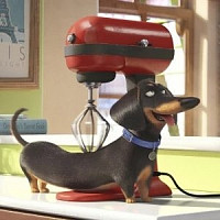 Бадди озвучивал фильм Тайная жизнь домашних животных 2