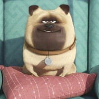 Мэл озвучивал фильм Тайная жизнь домашних животных 2