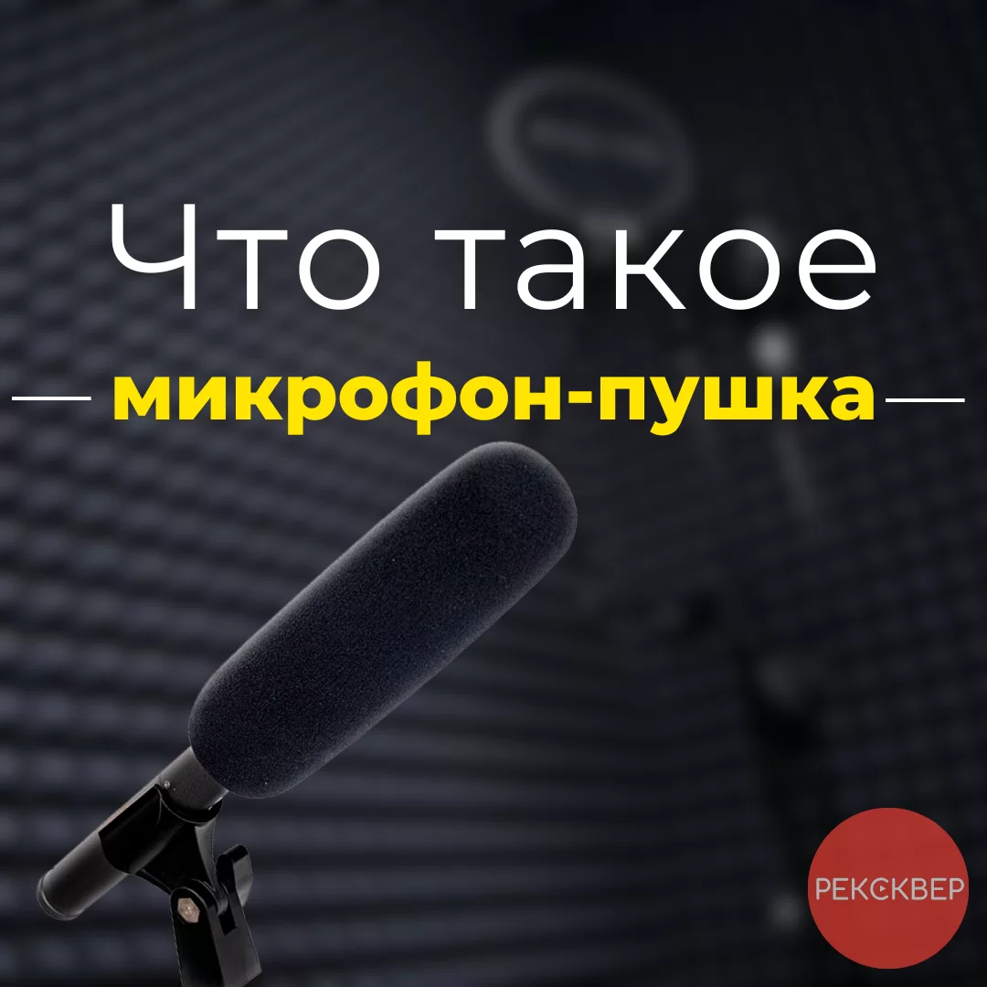 Что такое микрофон-пушка и каковы его особенности. Студия звукозаписи ...